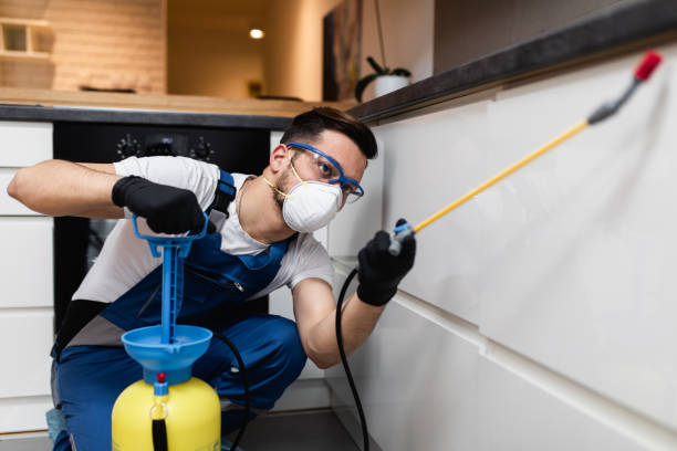 Best Wasp Removal Services  in Altamont, NY