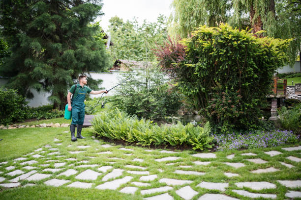 Best Wasp Removal Services  in Altamont, NY