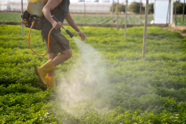 Best Ant Control Services  in Altamont, NY