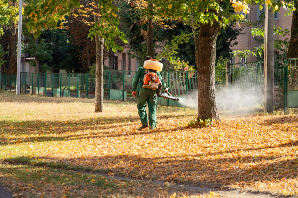 Reliable Altamont, NY Pest Control Solutions