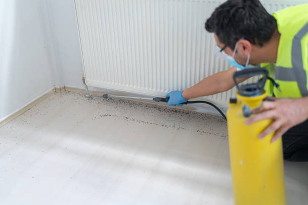 Best Pest Control Cost  in Altamont, NY