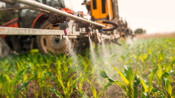 Best Pest Removal Services  in Altamont, NY