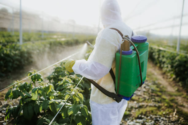 Best Commercial Pest Control Services  in Altamont, NY
